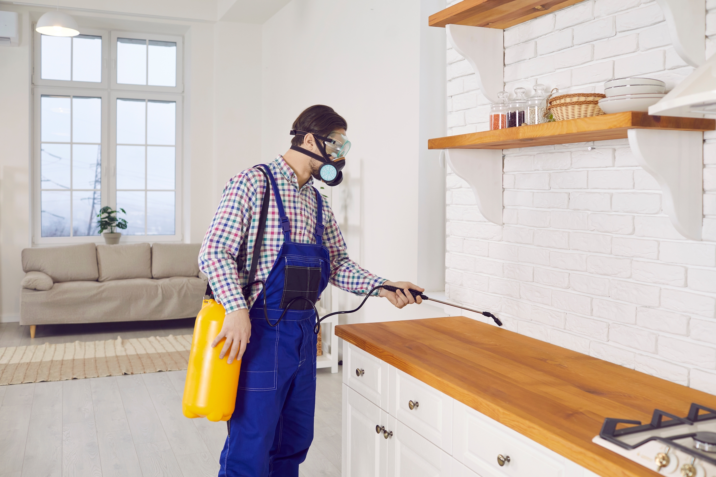 Man spraying kitchen with insecticide.
