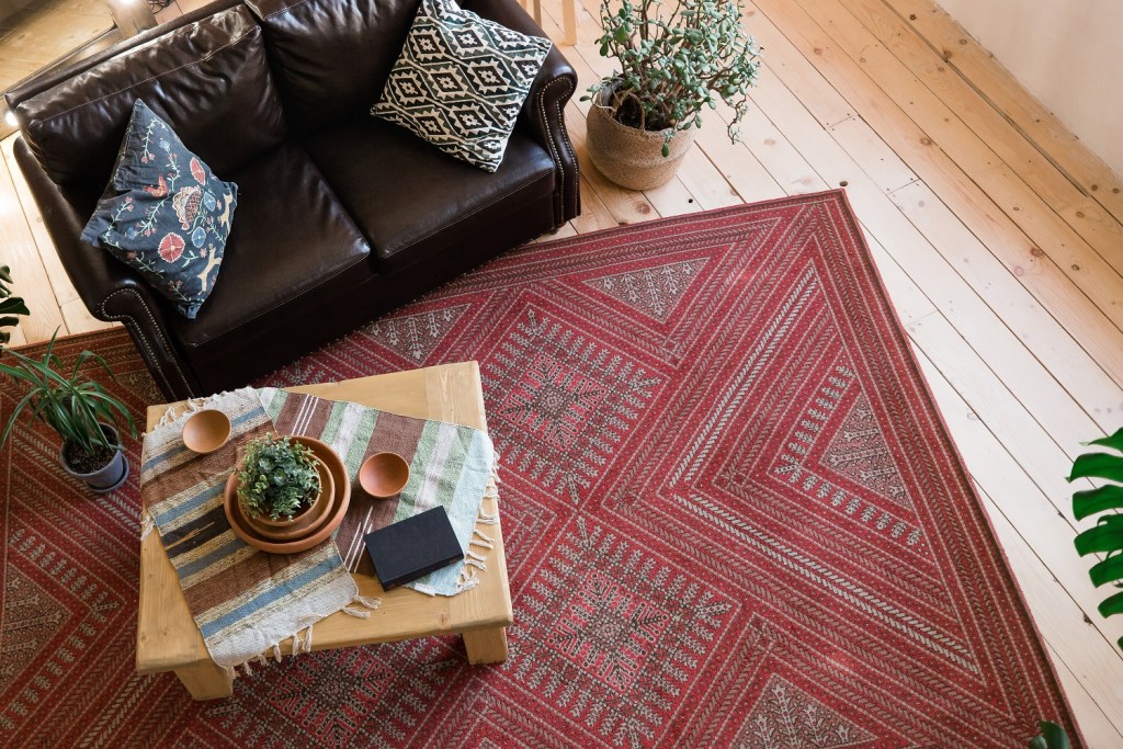 Modern living room with leather sofa and large red rug