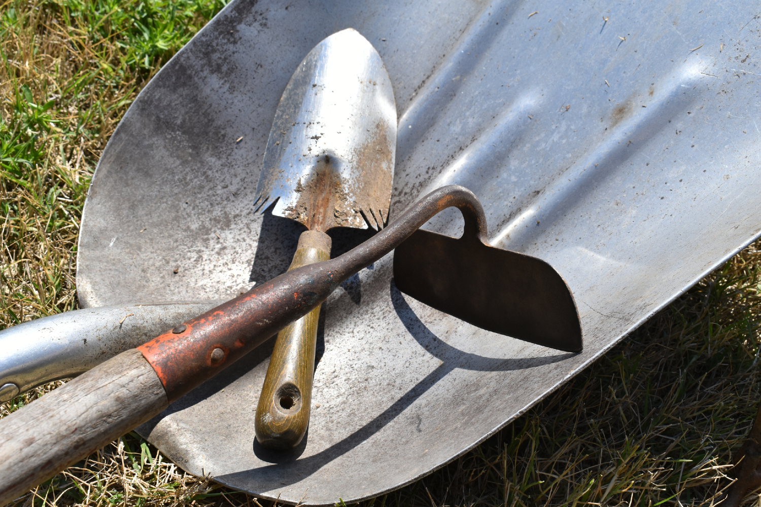Dirty garden tools in wheelbarrow.