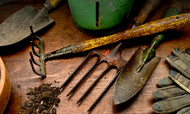 Dirty garden tools on work bench with dirt.