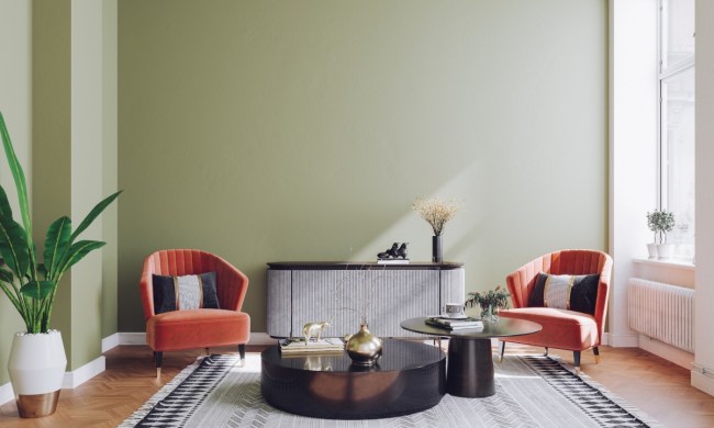 Pale green wall paint color with retro decor