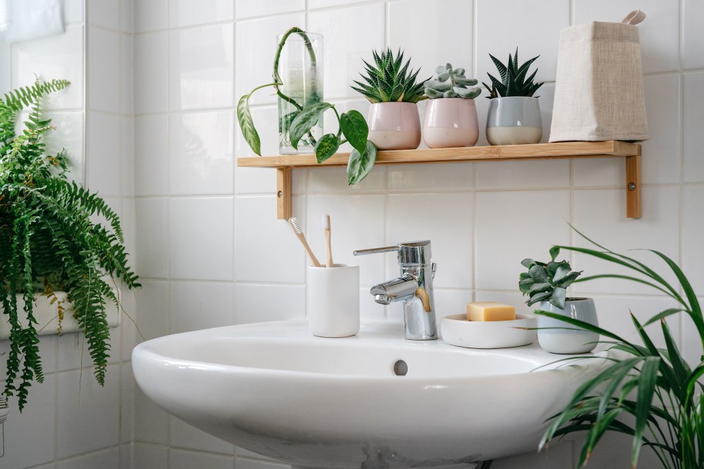 Modern white bathroom with bamboo shelves and plants