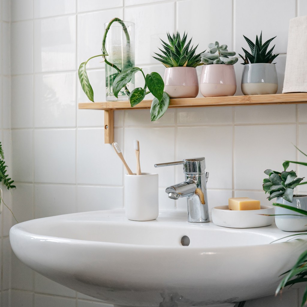 Modern white bathroom with bamboo shelves and plants