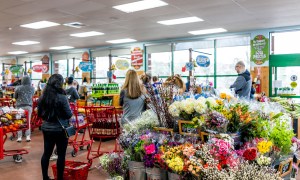 Flowers near a crowded Trader Joe's checkout