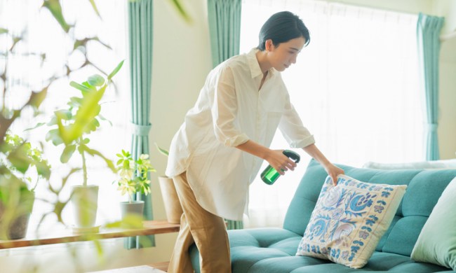 spring cleaning tips from experts a woman her room