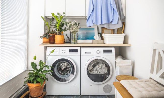 Small laundry room with washer and dryer and potted plants