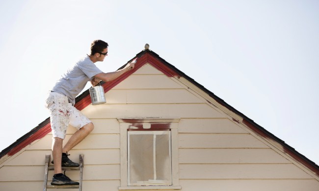 Guy on ladder painting exterior of house