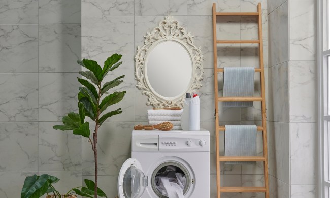 Laundry room with mirror and plant