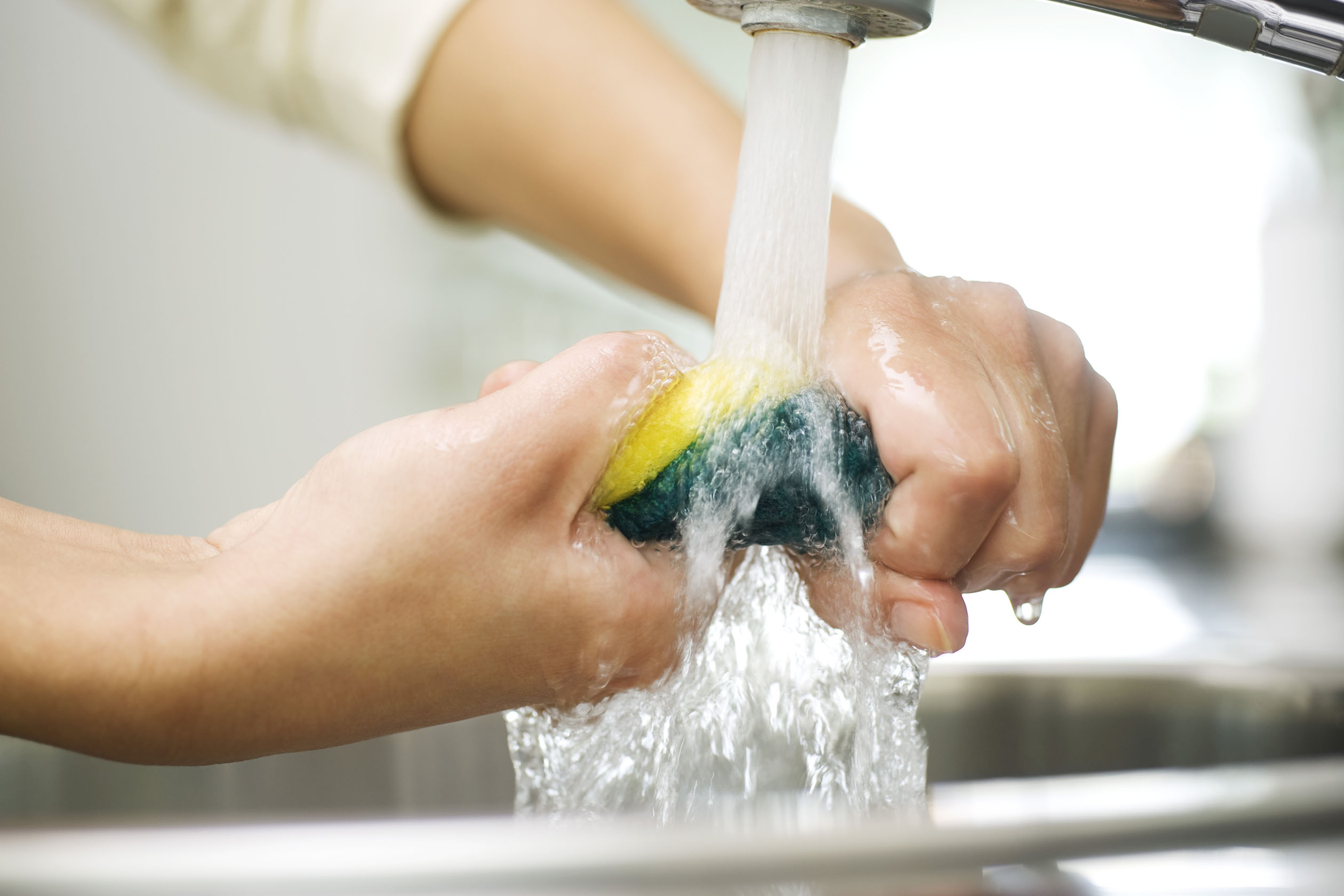 Person rinsing sponge under faucet