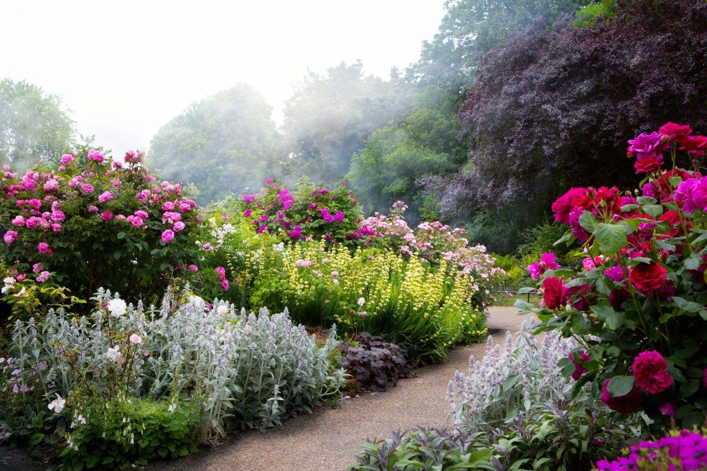 English garden walkway