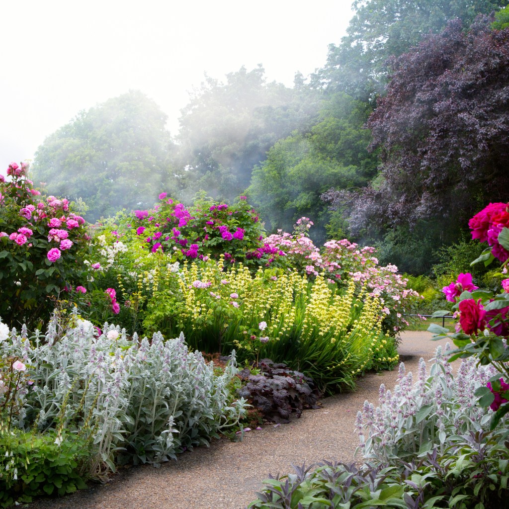 English garden walkway