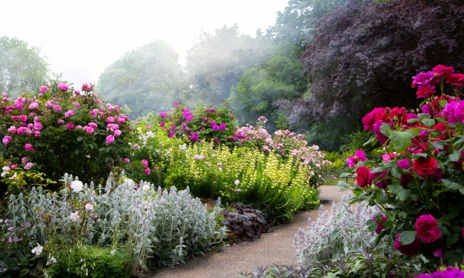 English garden walkway