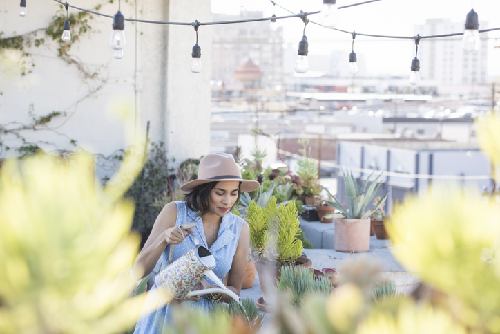 Report Exhibits Dwelling Design Tendencies That Are Popping This Summer season Report Exhibits Dwelling Design Tendencies That Are Popping This Summer season