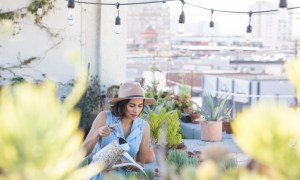how to take care of a rooftop garden woman watering her