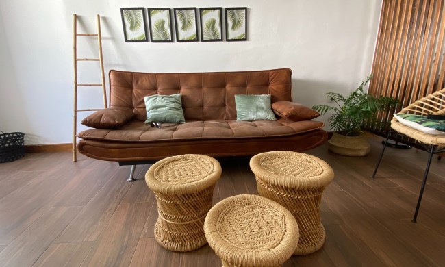 Living room with faux wood vinyl floors