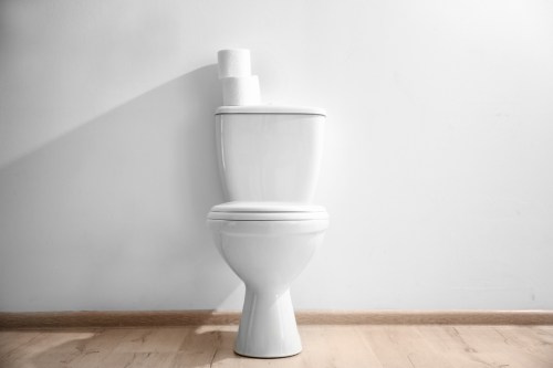 how to replace a toilet shutterstock 1115737901