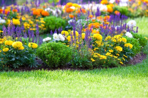 how to plant flowers shutterstock 57091351