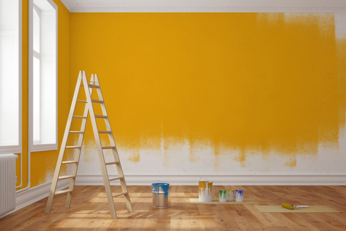 Know the different types of paint: The ultimate guide for painting your
