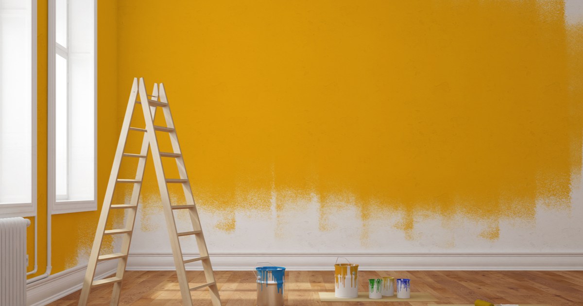 Know the different types of paint The ultimate guide for painting your walls 21Oak