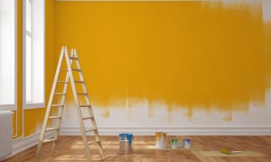 different types of wall paint shutterstock 596435585