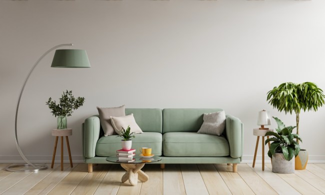 Small living room design with pastel green sofa