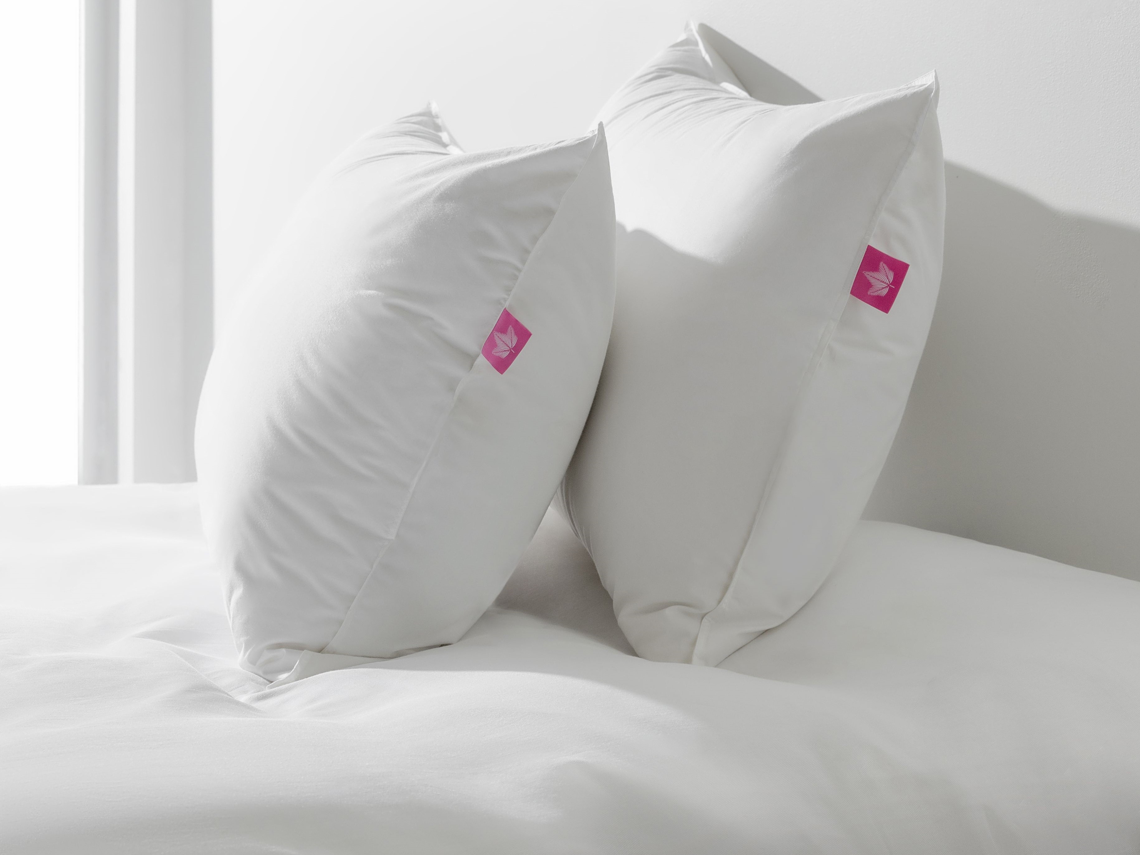 Cozy Canadian Down pillows on bed with beautiful lighting.