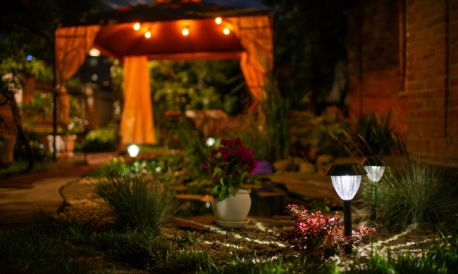 Small decorative solar garden lights in flower bed garden