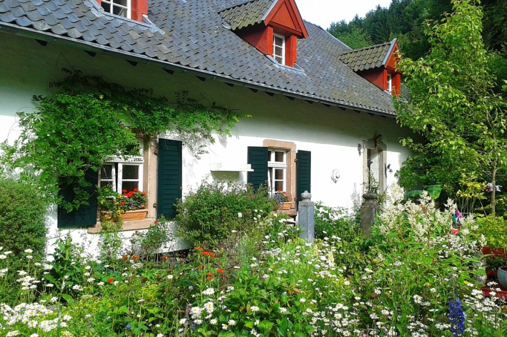 Cottage home with wildflower front yard garden