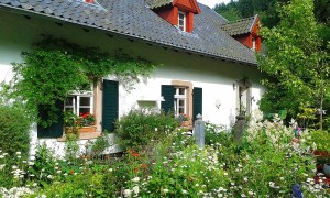 Cottage home with wildflower front yard garden
