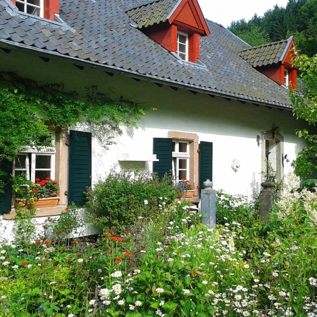 Cottage home with wildflower front yard garden