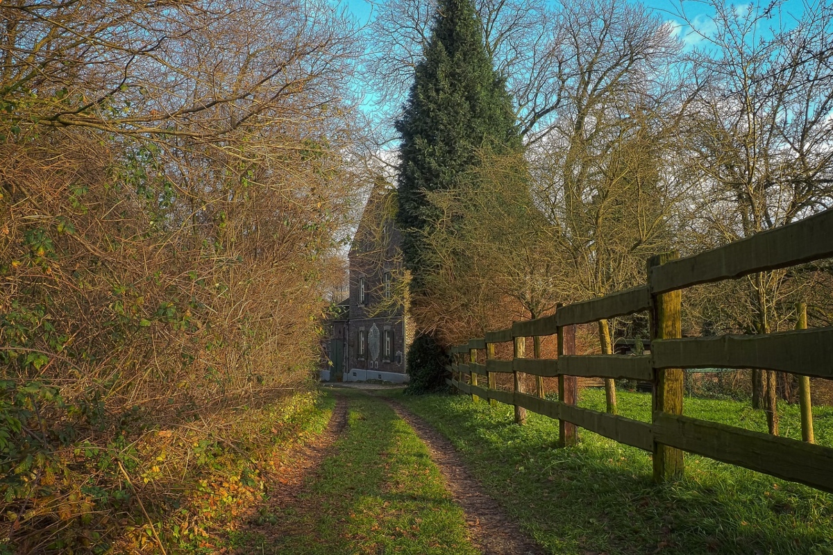 Farmhouse fence in a front yard