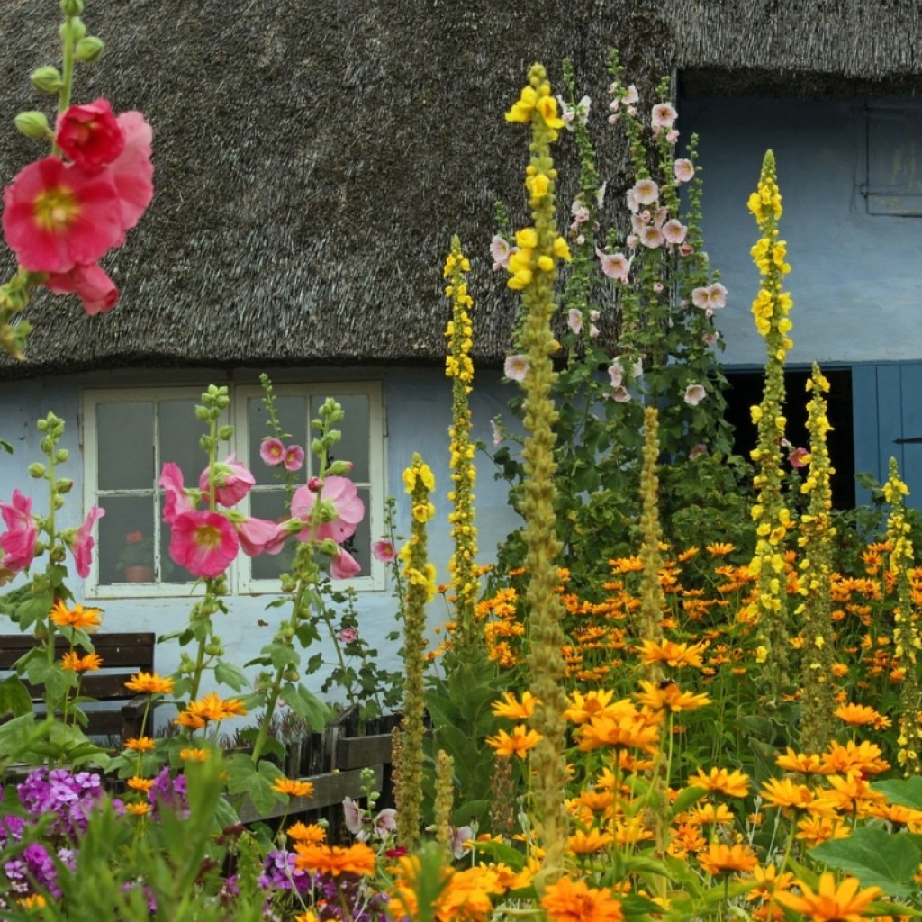 Small farmhouse with wildflowers in the foreground of a front yard