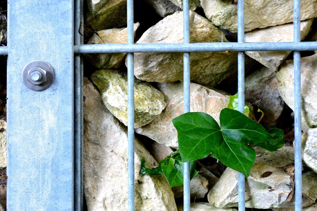 Gabion rock wall fence close-up