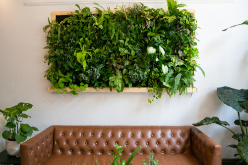 Living wall