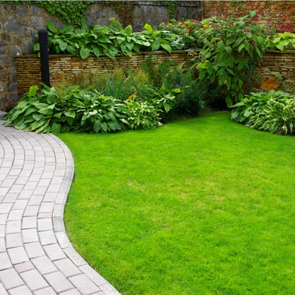 Pristine backyard with brick walkway and stone, ivy-covered walls