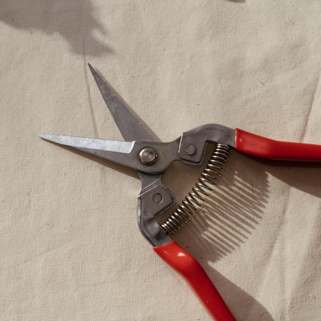 Pruning sheers with red handle on a white surface