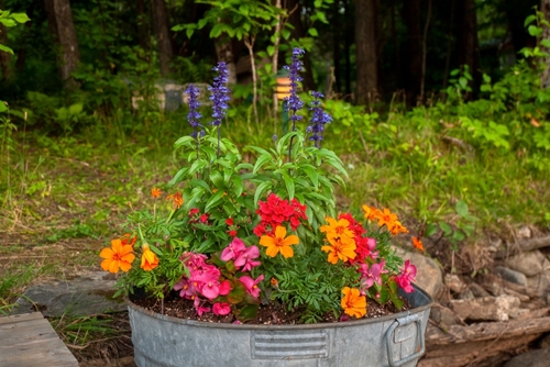 Water trough garden with flowers