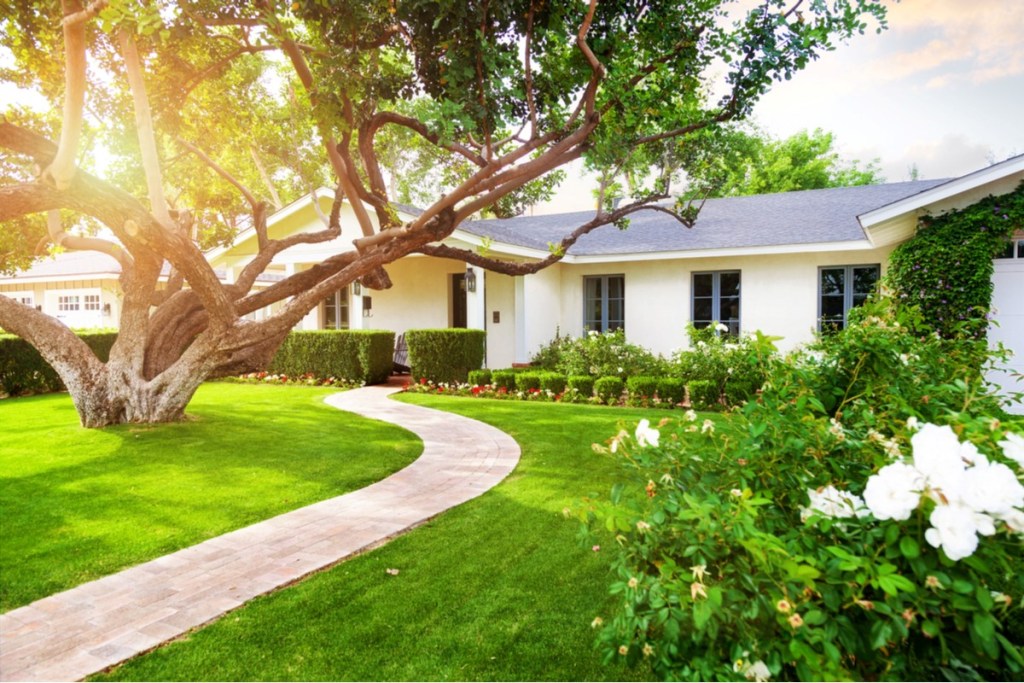 Single-family home with curved walkway and large tree in front yard