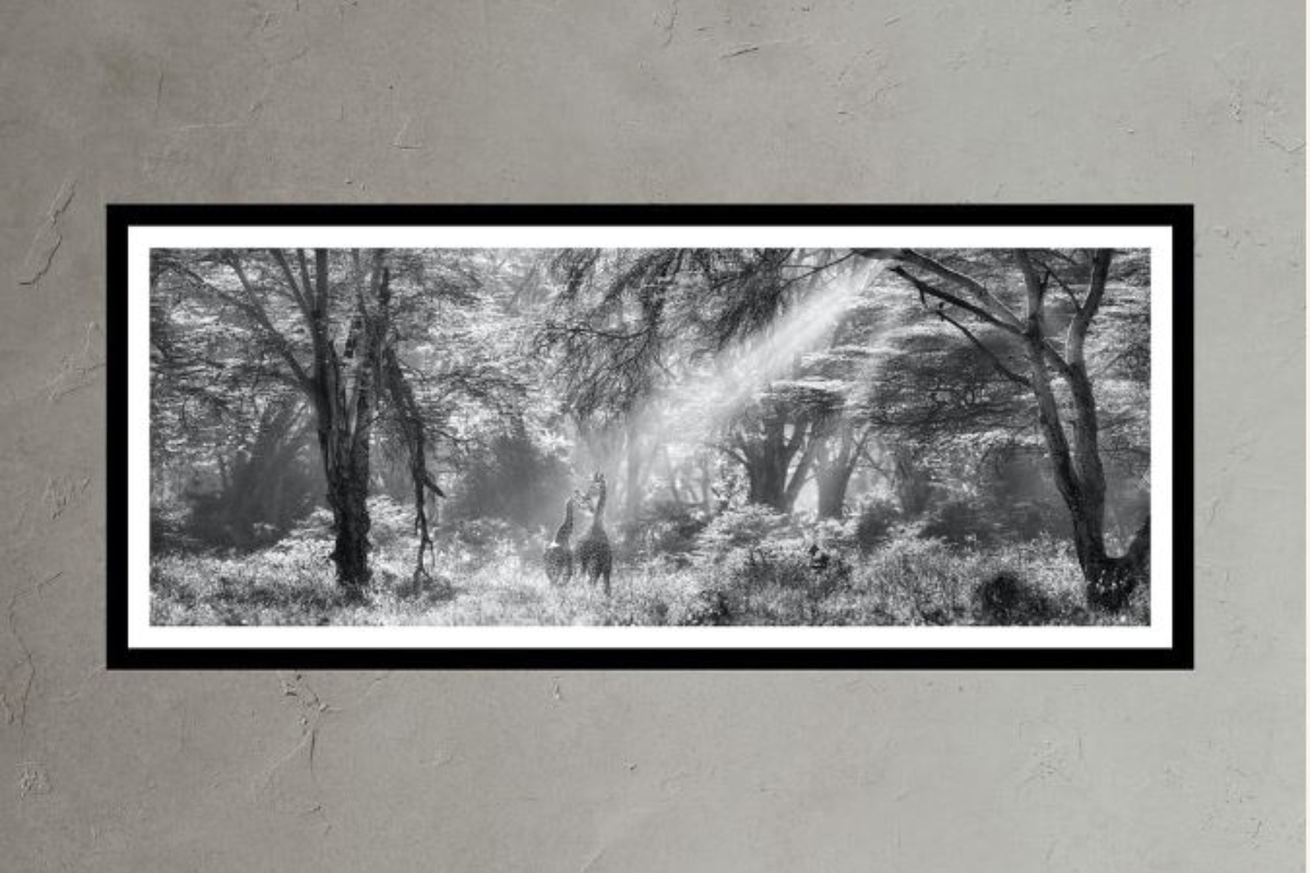 photo from Banana Republic Home collection