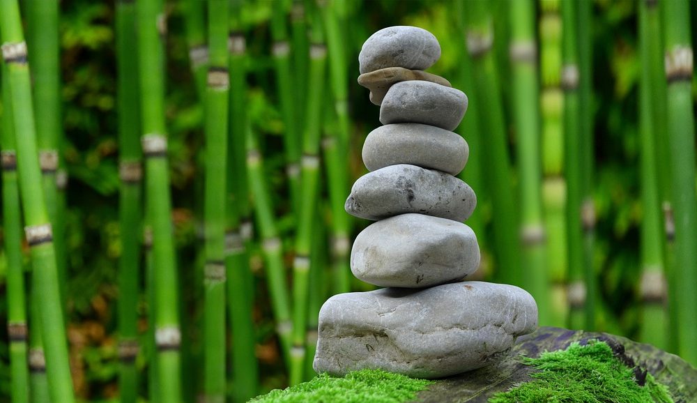 stack of gray rocks in front of bamboo shoots