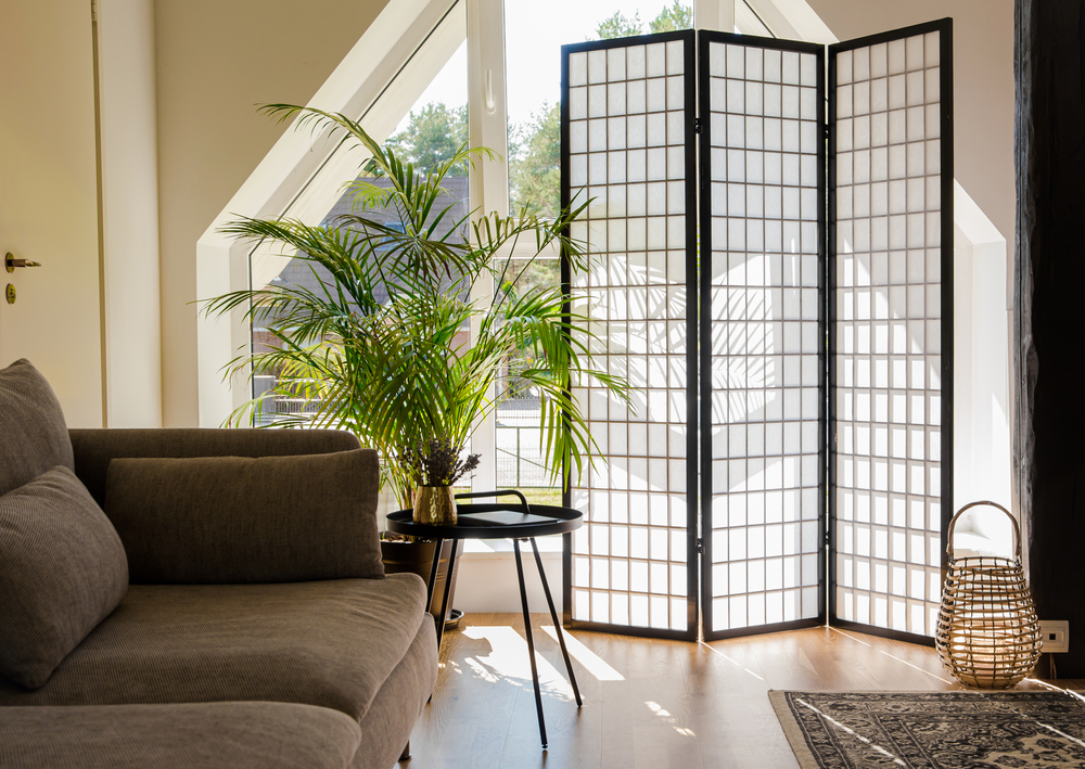 room divider screen