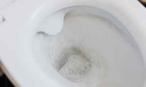 Water in a toilet bowl