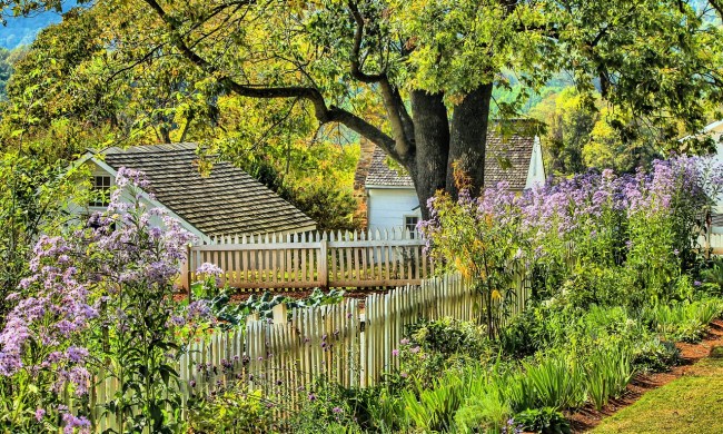 Country garden with a variety of ornamental grasses