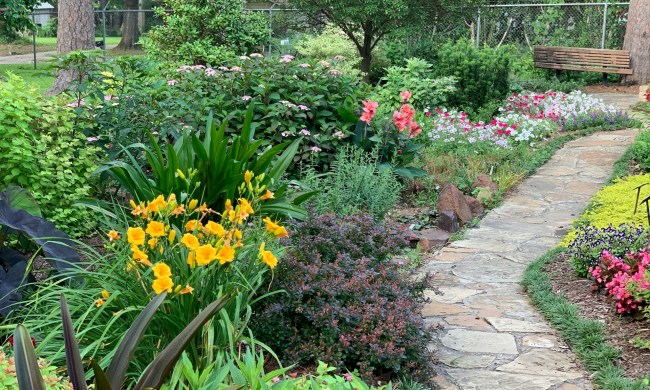 Stone pathway through a flower garden