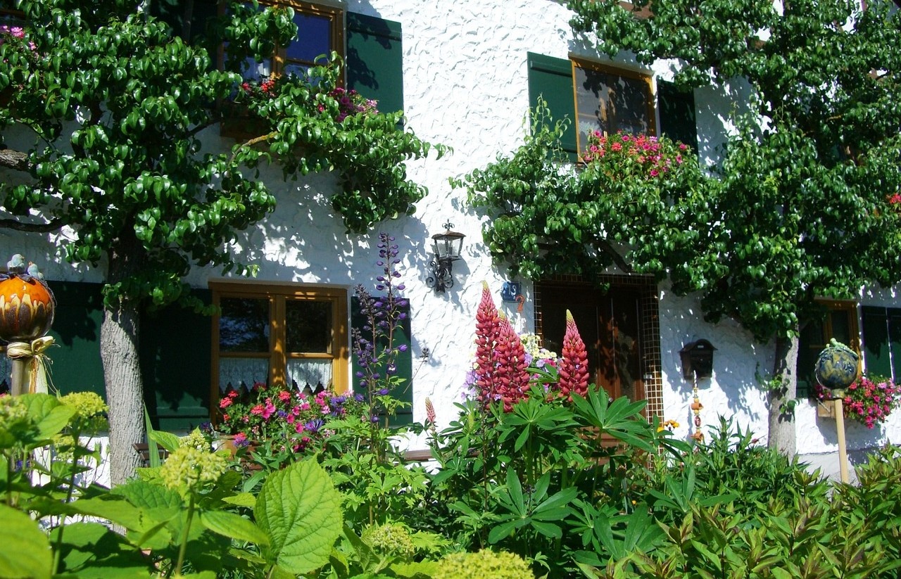 Front yard with tree and flower garden