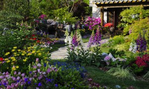 Various flower beds in a large garden