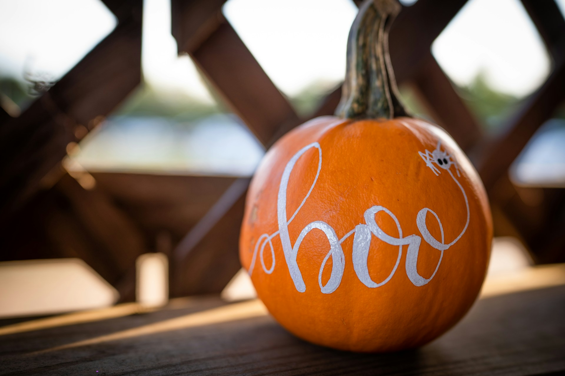 Pumpkin painted with a message that says "boo"