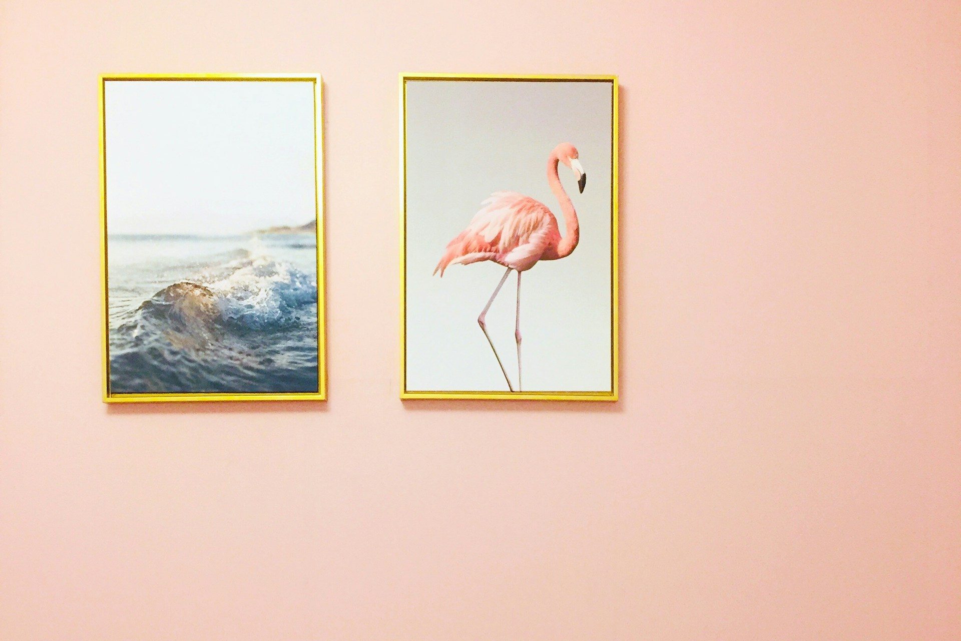 Light pink wall with golden framed pictures