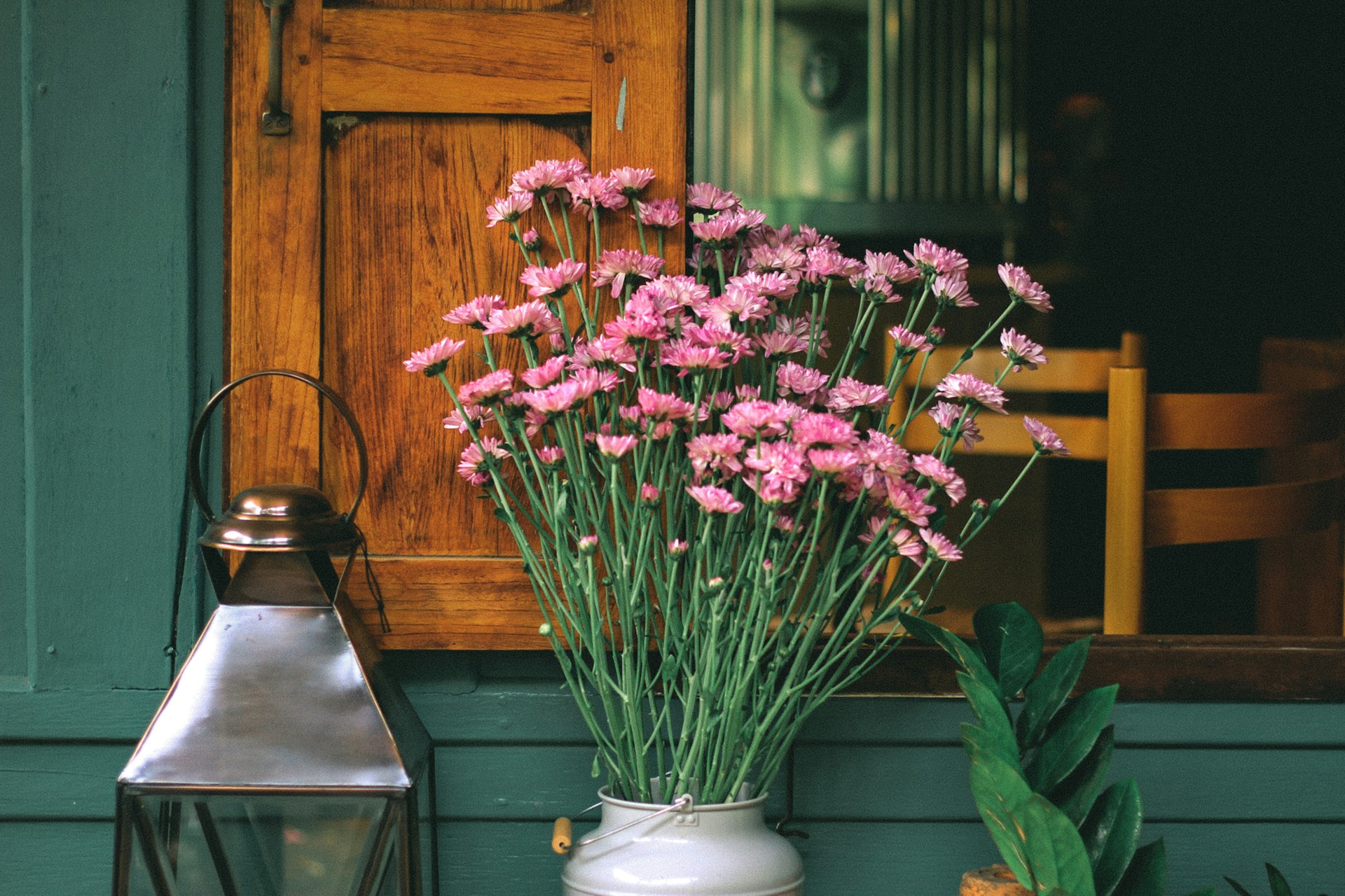 Pink gerbera daisies next to sage green wall and natural wood cabinet door