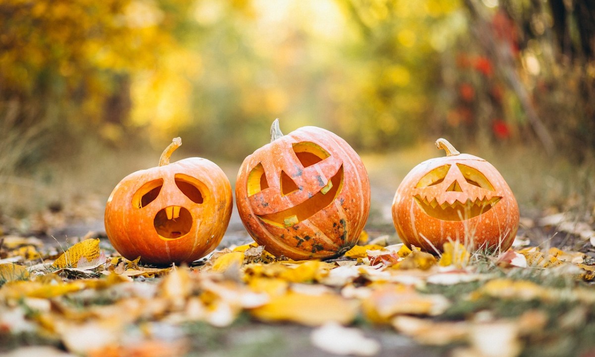 Three carved pumpkins sitting on a street surrounded by fall leaves